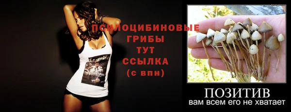дмт Каменногорск