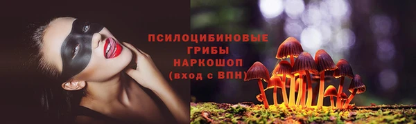 2c-b Карпинск
