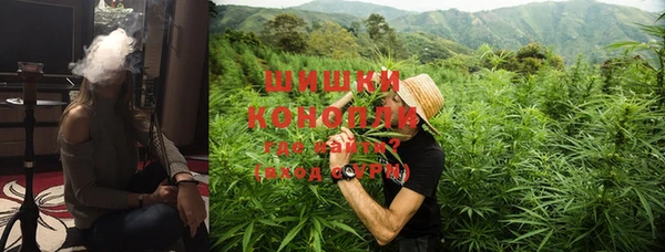 дурь Каменка
