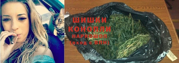 дмт Каменногорск