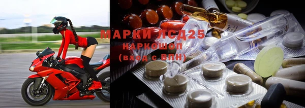 дмт Каменногорск