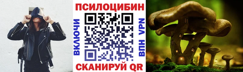 Галлюциногенные грибы ЛСД  продажа наркотиков  Кольчугино 
