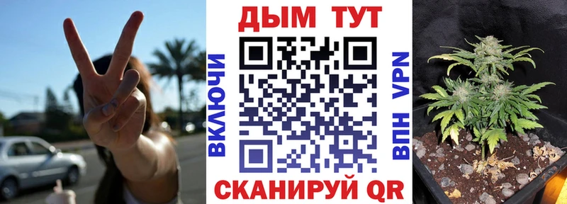 Конопля конопля Кольчугино